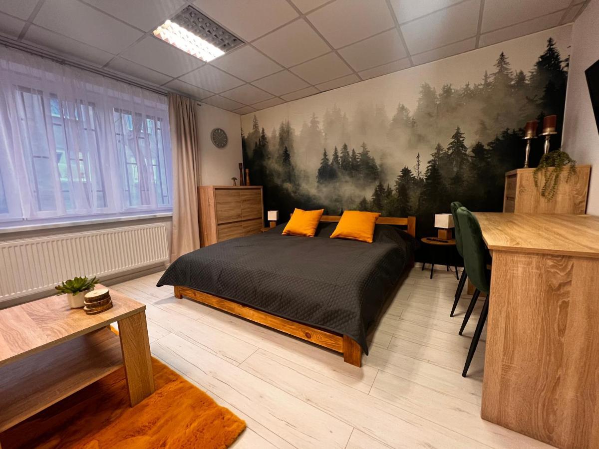 Apartmany V Centre - Vlastna Izba So Spolocnou Kuchynou A Kupelnou Moze Byt Zdielana 2 Inymi Izbami Martin Exterior photo