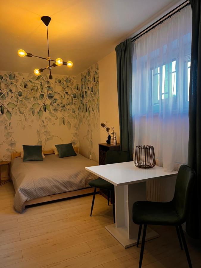 Apartmany V Centre - Vlastna Izba So Spolocnou Kuchynou A Kupelnou Moze Byt Zdielana 2 Inymi Izbami Martin Exterior photo